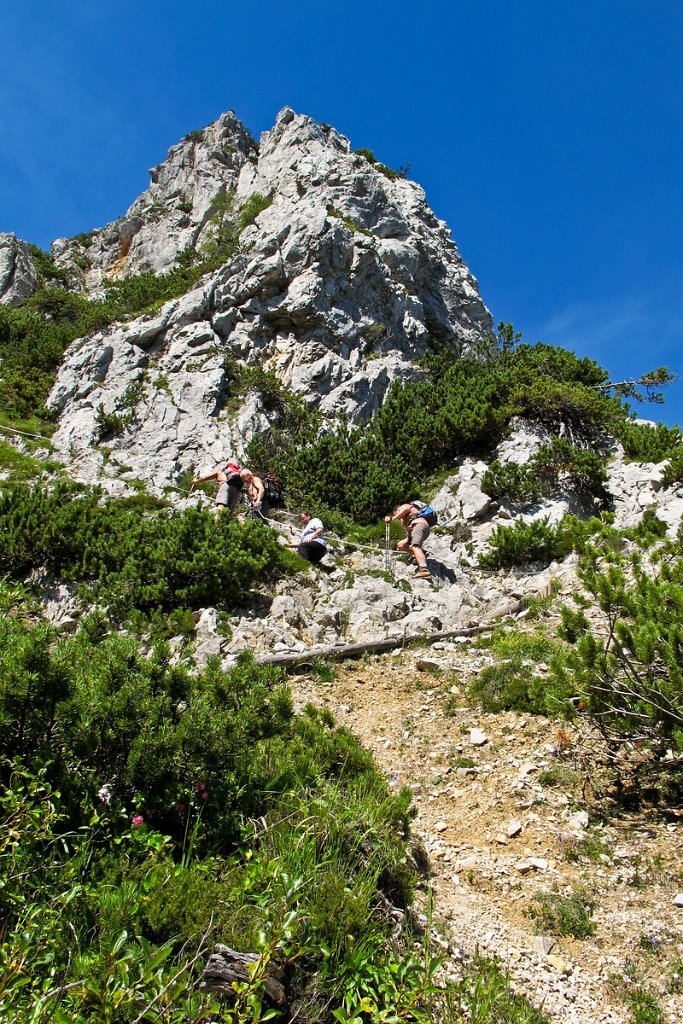 98 wunderbar zum steigen.jpg